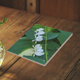 White Bleeding Heart Floral Tile