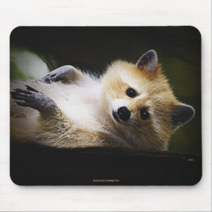 White Blonde Raccoon Wildlife Cute Animal Mouse Pad