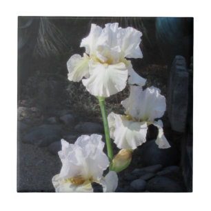 White Blooming Iris Tile