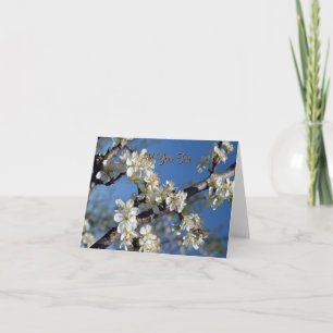 White blooming plum tree branch in spring card