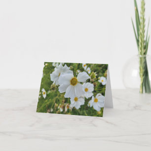 White Blooms in the Garden Holiday Card