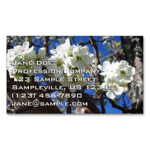 White Blossom Clusters Spring Flowering Pear Tree Magnetic Business Card