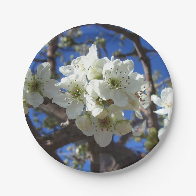 White Blossom Clusters Spring Flowering Pear Tree Paper Plate (Front)