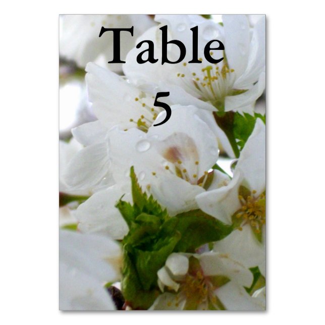 White Blossoms, flowering cherry tree Table Number (Front)