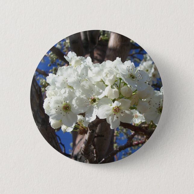 White Blossoms II Spring Flowering Tree 2 Inch Round Button (Front)