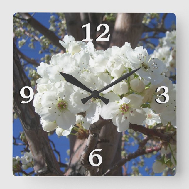 White Blossoms II Spring Flowering Tree Square Wall Clock (Front)