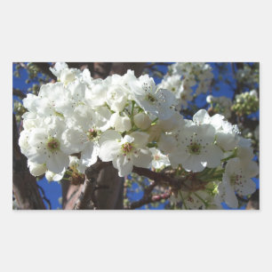 White Blossoms II Spring Flowering Tree Sticker