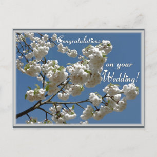 White blossoms postcard