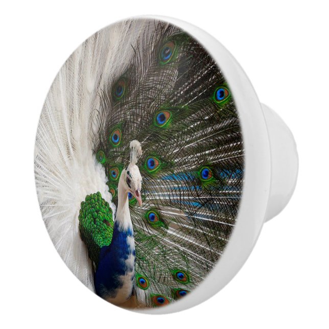 White Blue Peacock Ceramic Knob (Right)
