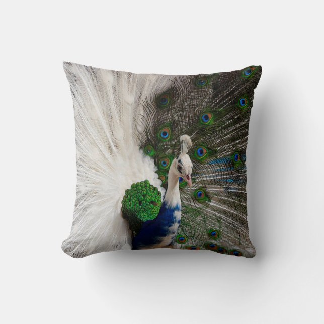 White Blue Peacock Throw Pillow (Front)