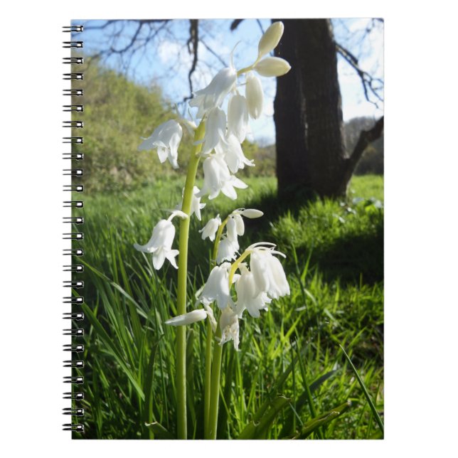 White Bluebells Notebook (Front)