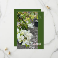 white bougainvillea or paperflower white as snow