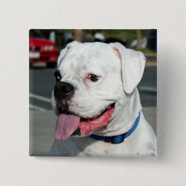 White Boxer button (Front)