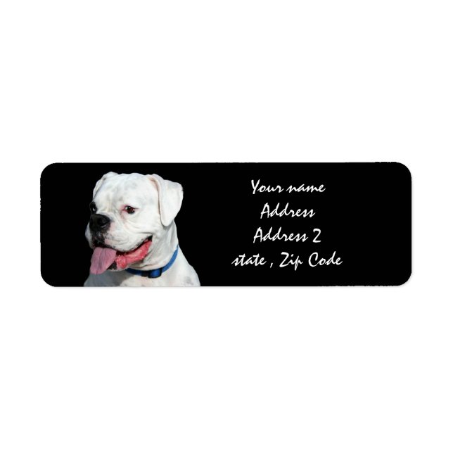White Boxer dog (Front)