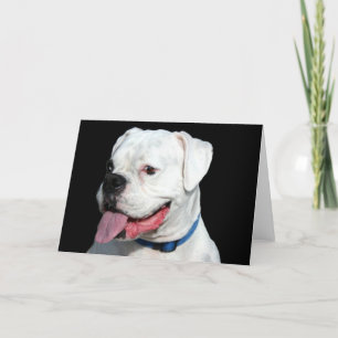 White Boxer greeting card