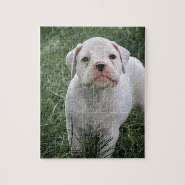 White Boxer Jigsaw Puzzle (Vertical)