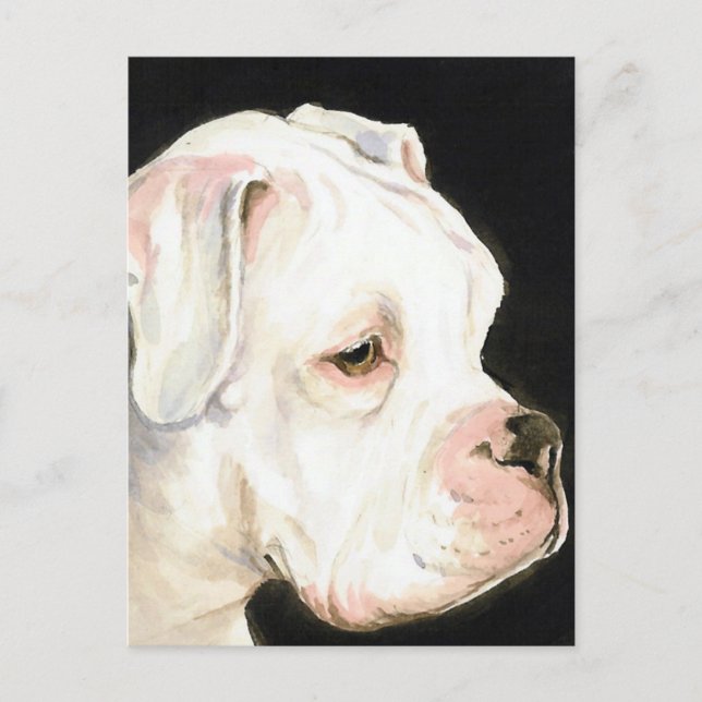White Boxer Original Dog Art Postcard (Front)