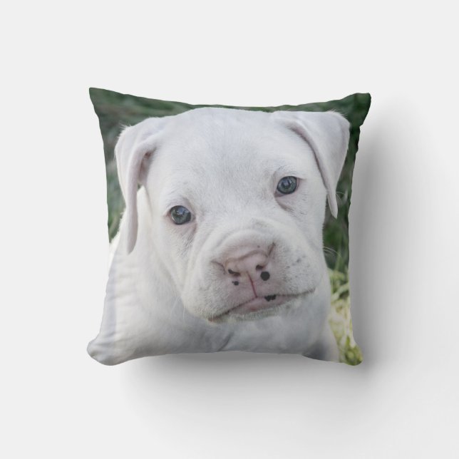 White Boxer Puppy - Custom Photo Throw Pillow (Front)