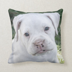 White Boxer Puppy - Custom Photo Throw Pillow