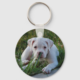 White Boxer Puppy Keychain