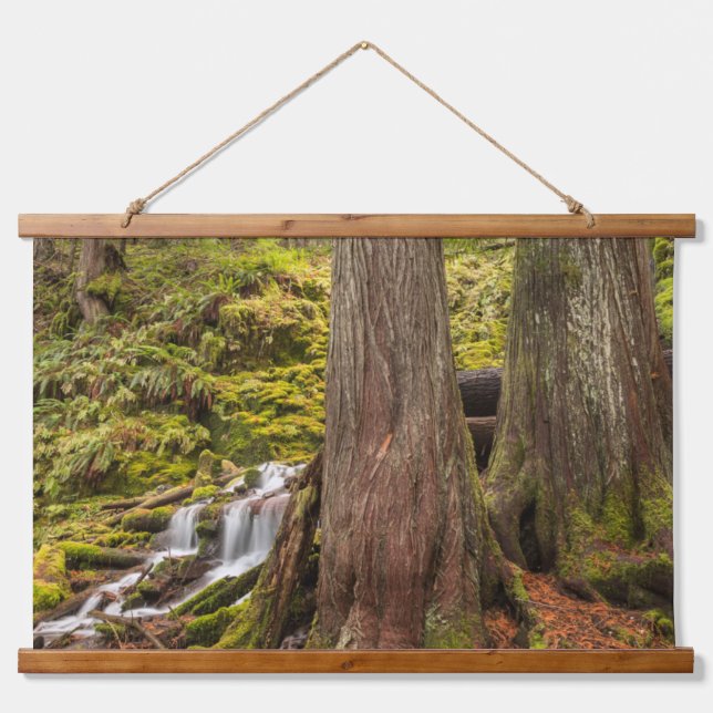 White Branch Falls, Oregon Cascades, Oregon Hanging Tapestry (Front)