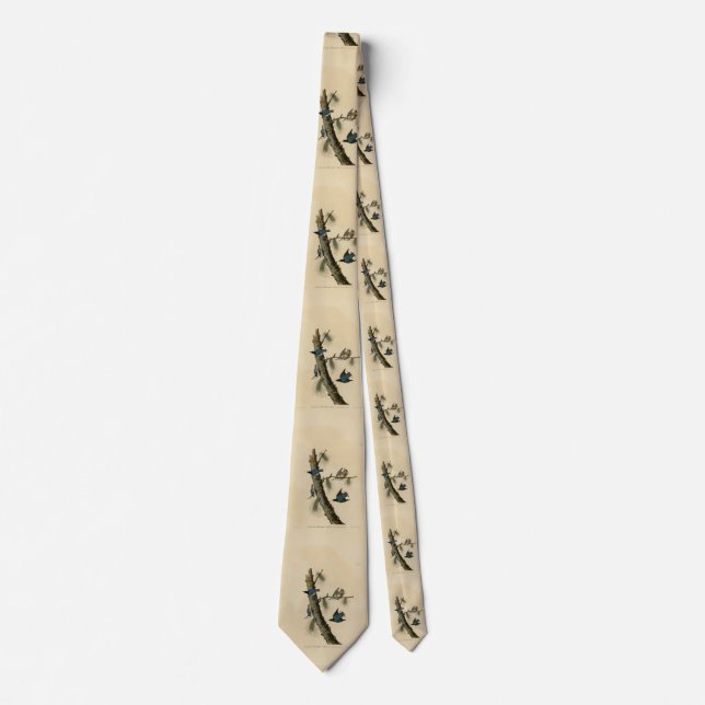 White Breasted Nuthatch Audubon's Birds of America Tie (Front)