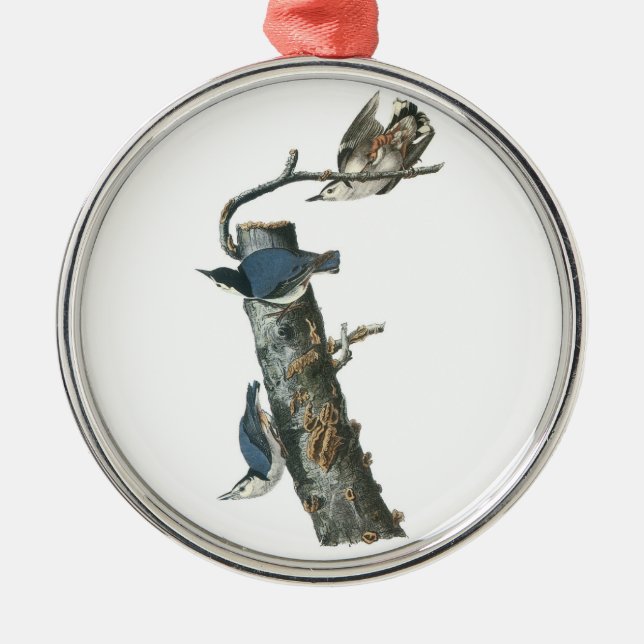 White-breasted Nuthatch by Audubon Metal Ornament (Front)