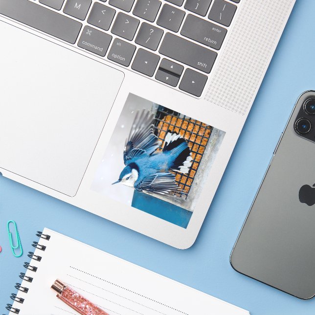 White-Breasted Nuthatch in Snow - Original Photo (Laptop w/ iPhone)