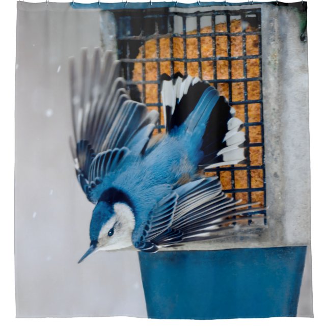 White-Breasted Nuthatch in Snow - Original Photo (Front)