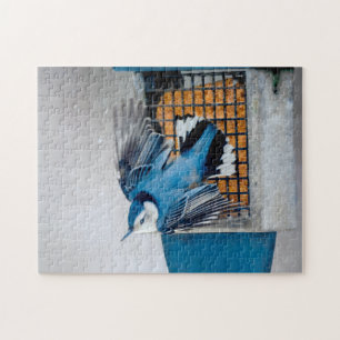 White-Breasted Nuthatch in Snow - Original Photo Jigsaw Puzzle