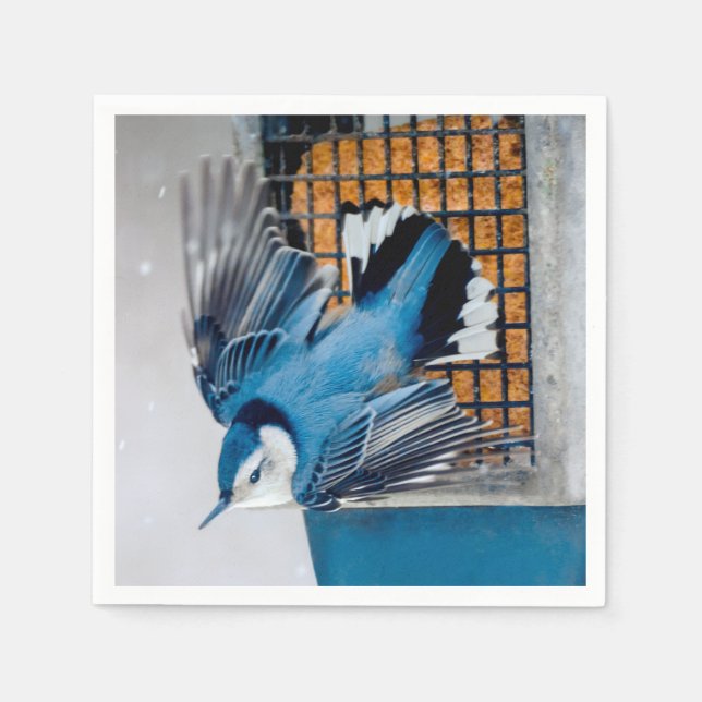White-Breasted Nuthatch in Snow - Original Photo Napkin (Front)