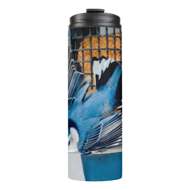 White-Breasted Nuthatch in Snow - Original Photo Thermal Tumbler (Front)