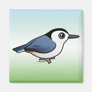 White-breasted Nuthatch Magnet