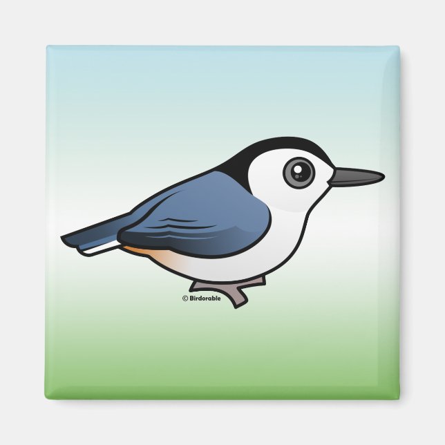 White-breasted Nuthatch Magnet (Front)