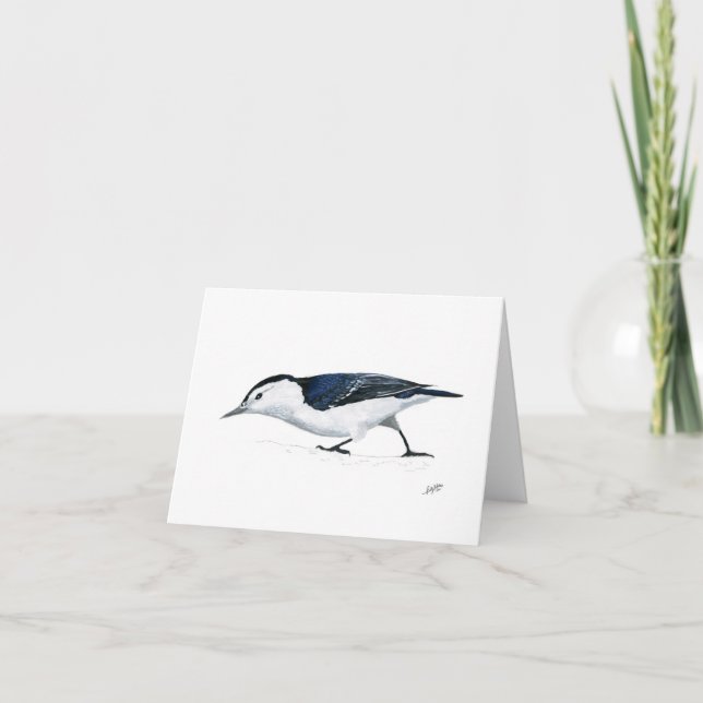 White breasted Nuthatch Note Card (Front)