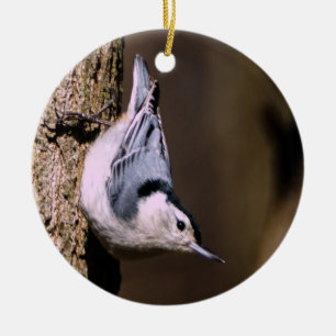 White-Breasted Nuthatch Ornament