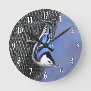 White-Breasted Nuthatch Painting Original Bird Art Round Clock