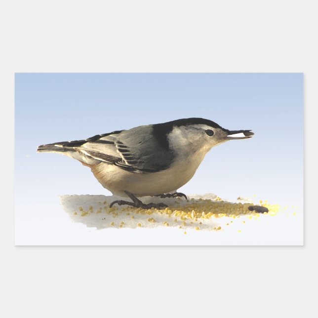 White-breasted Nuthatch Sticker (Front)
