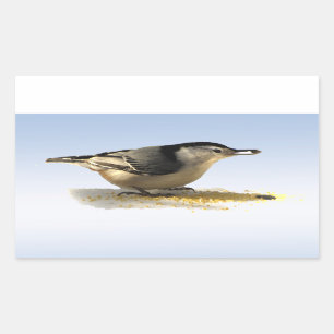 White-breasted Nuthatch Sticker