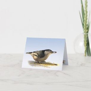 White-breasted Nuthatch Thank You Card