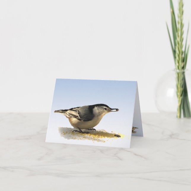 White-breasted Nuthatch Thank You Card (Front)