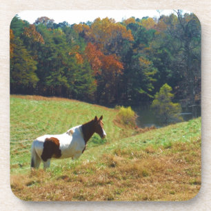 White & Brown horse, Autumn pond Coaster