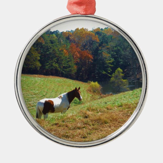 White & Brown horse, Autumn pond Metal Ornament (Front)