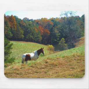 White & Brown horse, Autumn pond Mouse Pad
