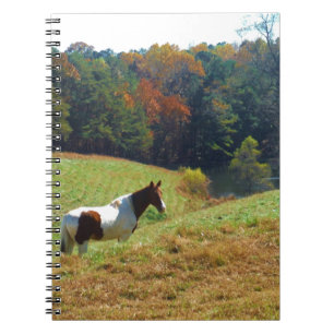 White & Brown horse, Autumn pond Notebook