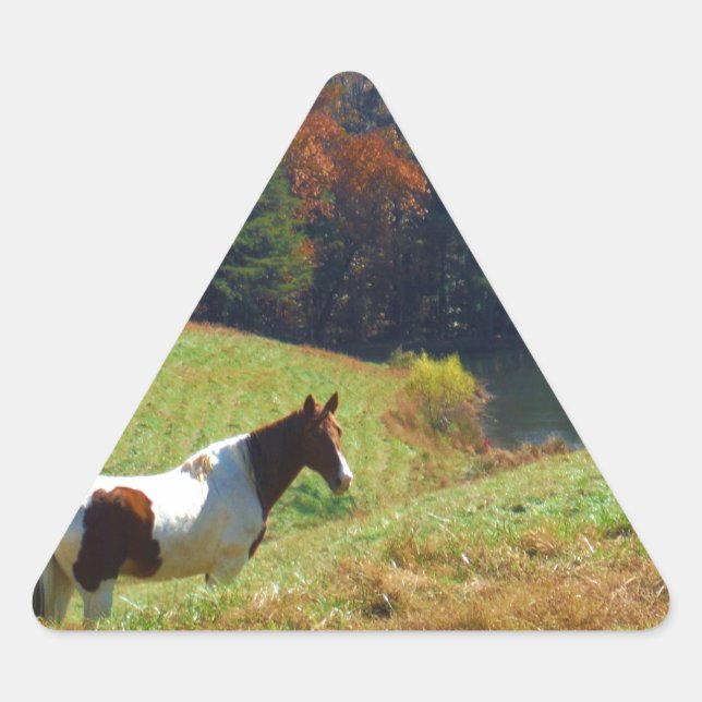 White & Brown horse, Autumn pond Triangle Sticker (Front)