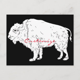 White Buffalo Thunder_Cove Postcard