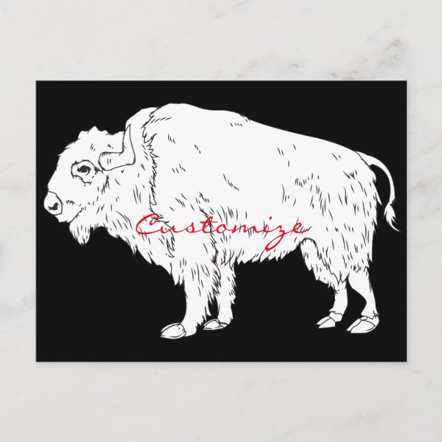 White Buffalo Thunder_Cove Postcard (Front)