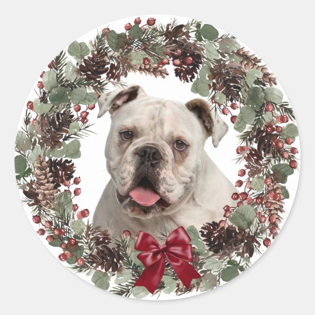 White Bulldog Pinecone Wreath Christmas Classic Round Sticker (Front)
