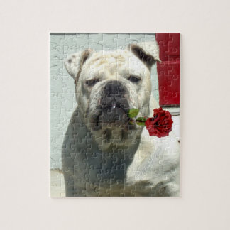 White Bulldog with rose Jigsaw Puzzle